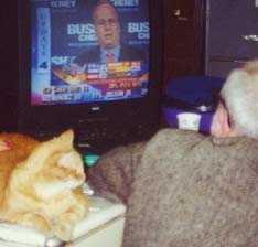 Awaiting the returns with David, election night 2000. Photo by Ruth Benn.