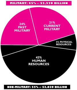 WRL's Fiscal Year 2025 pie chart