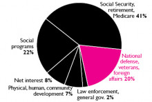 FY2021 Pie Chart - Government Deception graphic