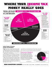 WRL's Fiscal Year 2025 pie chart (front)