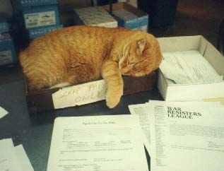 AJ helps with a WRL mailing. Photo by David McReynolds.